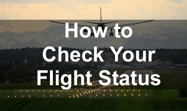 How To Check Your Flight Status